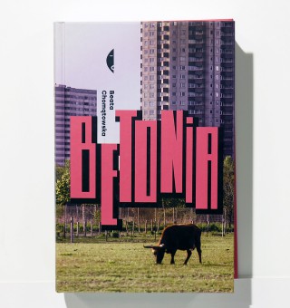 Betonia. Dom dla każdego