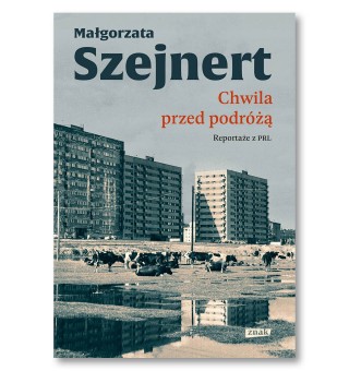 Chwila przed podróżą