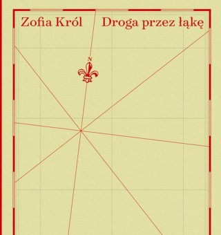 Droga przez łąkę. Sześć esejów o przestrzeni