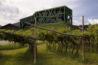 Architecture and Wine in Central Europe
